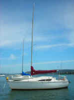 full rig.JPG (26633 bytes)