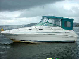Searay 2400.jpg (43384 bytes)