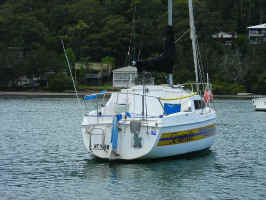 stern.jpg (67784 bytes)